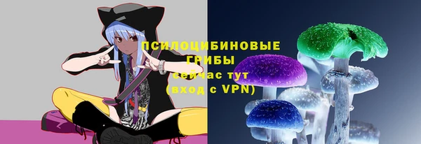 кокс Богородицк