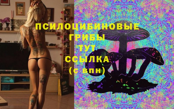 кокс Богородицк