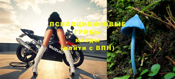 таблы Богданович
