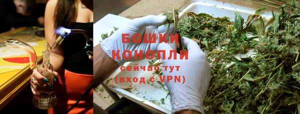 кокс Богородицк
