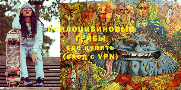 таблы Богданович
