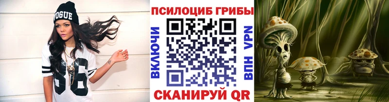 Псилоцибиновые грибы Cubensis Волжск