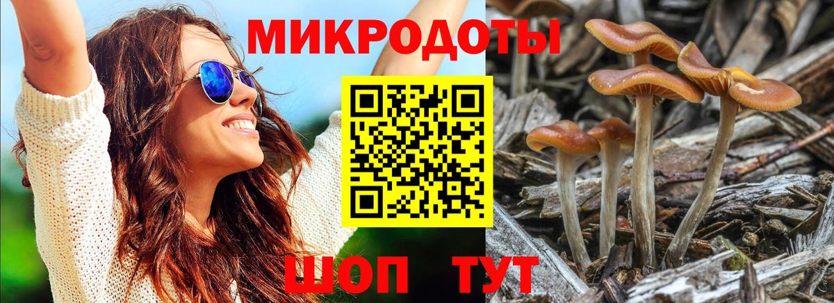 Галлюциногенные грибы мухоморы Волжск